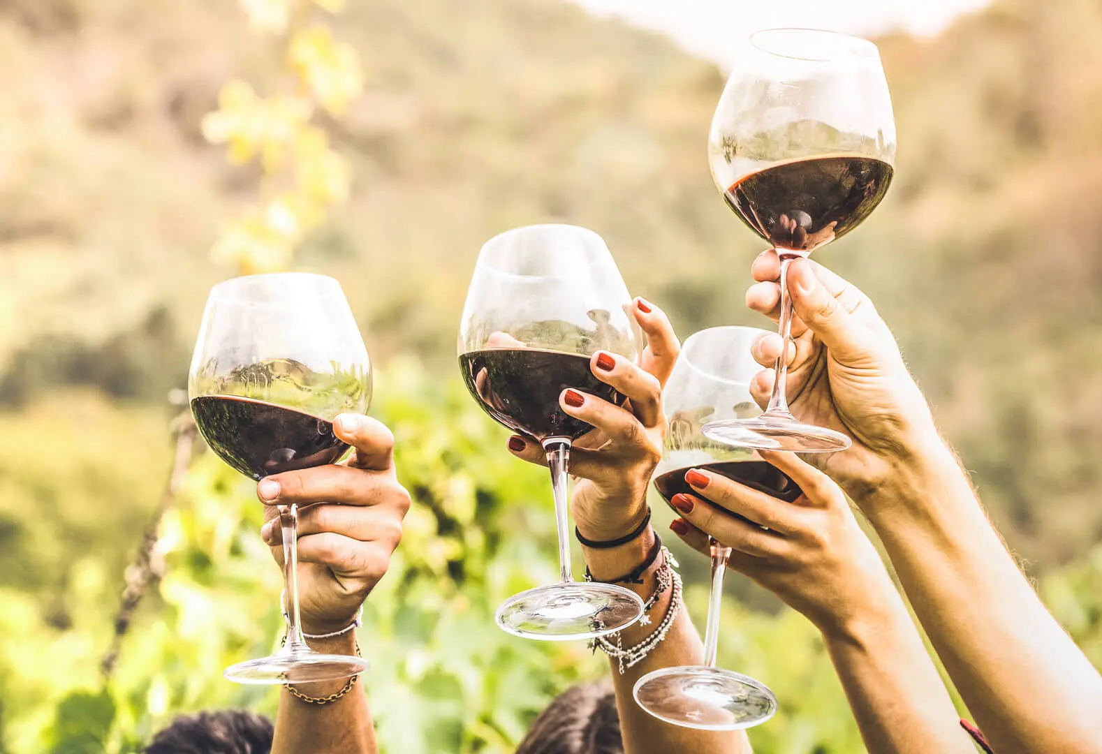 Brindisi tra i vigneti verdissimi.